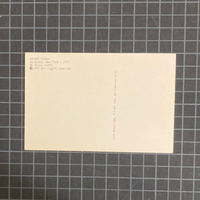 Lloyd, Ginny - Street Dykes postcard (1977)