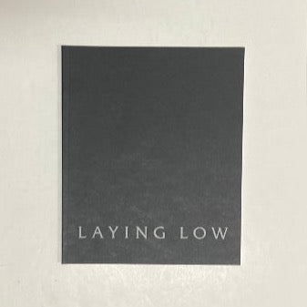 Laying Low exhibition catalog
