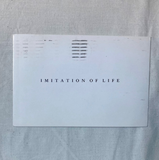 Goldin, Nan; etc -  Imitation of Life Joseloff Art Gallery Group Show Exhibition Invitation (1979)