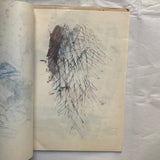Akita, Masami (Merzbow) - 37 pages, 1 unbound and 36 staple-bound, of Unique Original Solvent-Transfer Art (Signed) (1982)