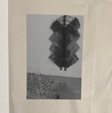 Hammons, David - Four Works by (Second Edition)