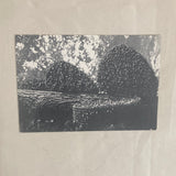 Mendieta, Ana - Lowe Art Museum, University of Miami exhibition brochure (1982)