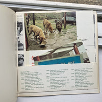 Béar, Liza (Editor) - Avalanche Number Seven, Winter/Spring 1973