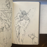 Opfersei, Peter Kunz - Das Buch der Verwandlungen / The book of transformations