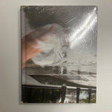 Hammons, David - L & M Arts 2011 Exhibition Catalogue